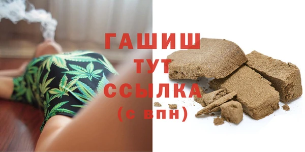 прущие грибы Абаза