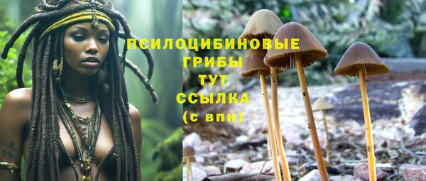 гашик Заводоуковск