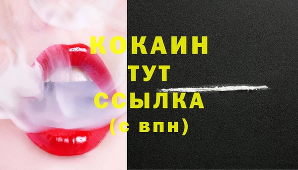гашик Заводоуковск