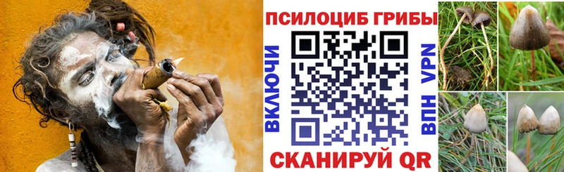 mega   Нефтеюганск  Галлюциногенные грибы Psilocybe  купить наркотики сайты 